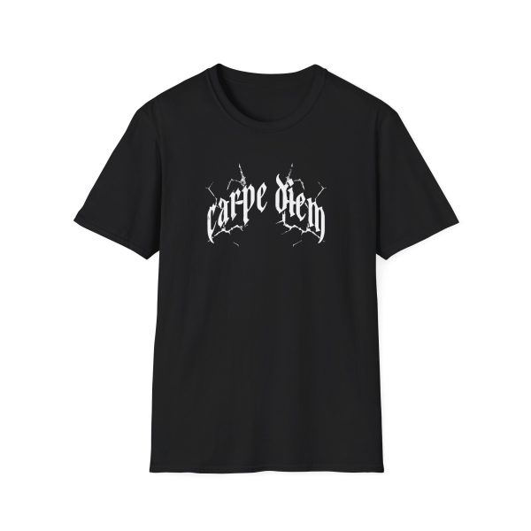 Joe Bartolozzi Carpe Diem Wall Flag Unisex Softstyle T-Shirt